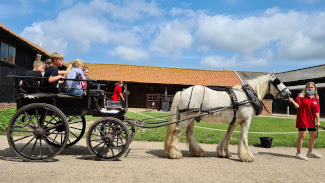 Easton Farm Park