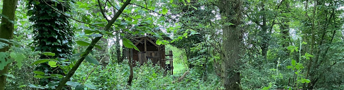 A toilet block through the undergrowth